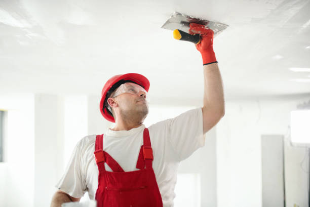 Best Exterior Painting  in Palos Hls, IL